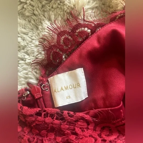 Alamour the Label Layali Dress in Red - Picture 5 of 10